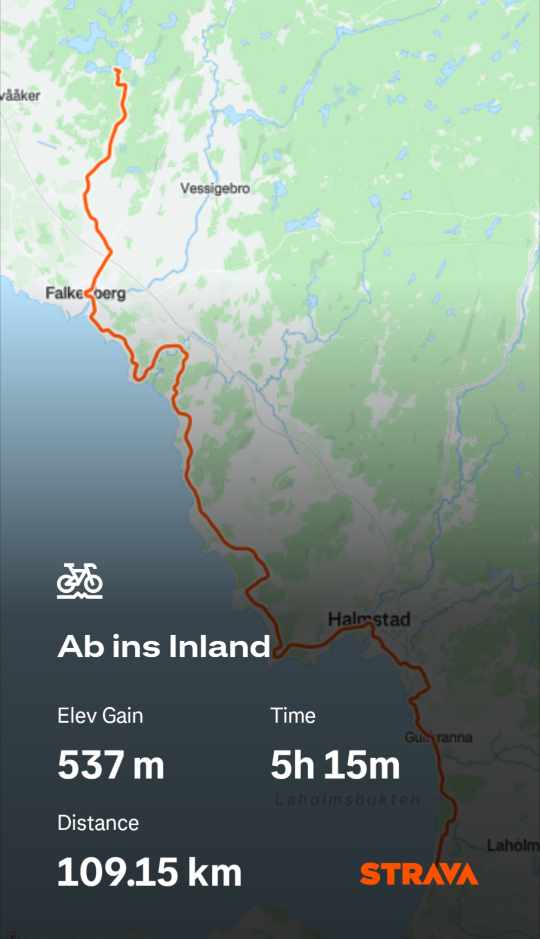 Strava activity