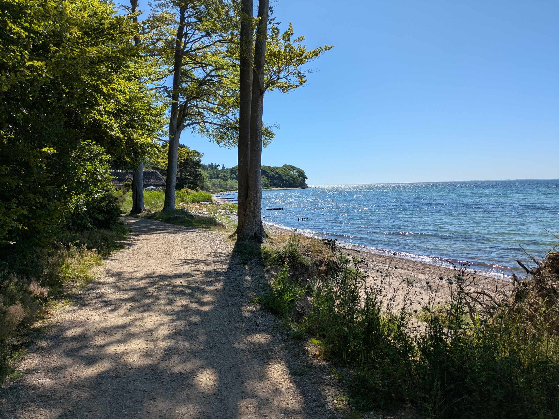 bikepacking-sweden-denmark